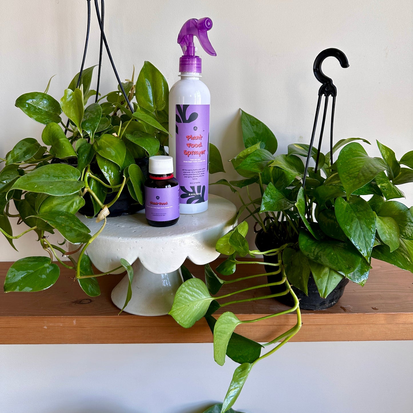 Plant Parent Starter Kit
