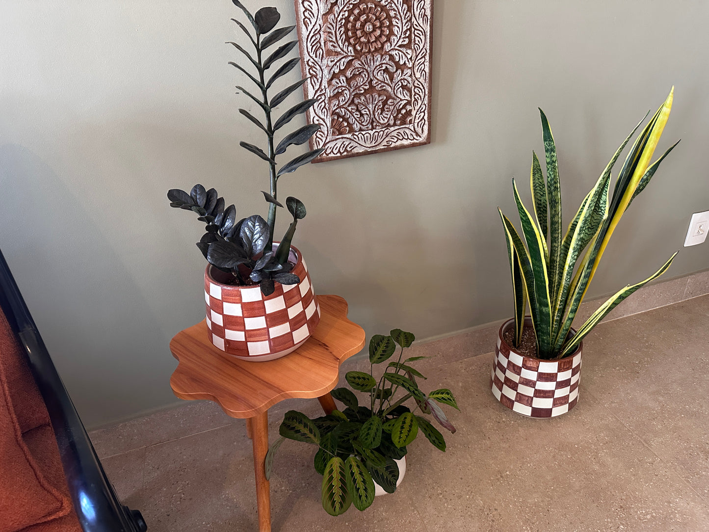 Black ZZ in Ceramic Pot