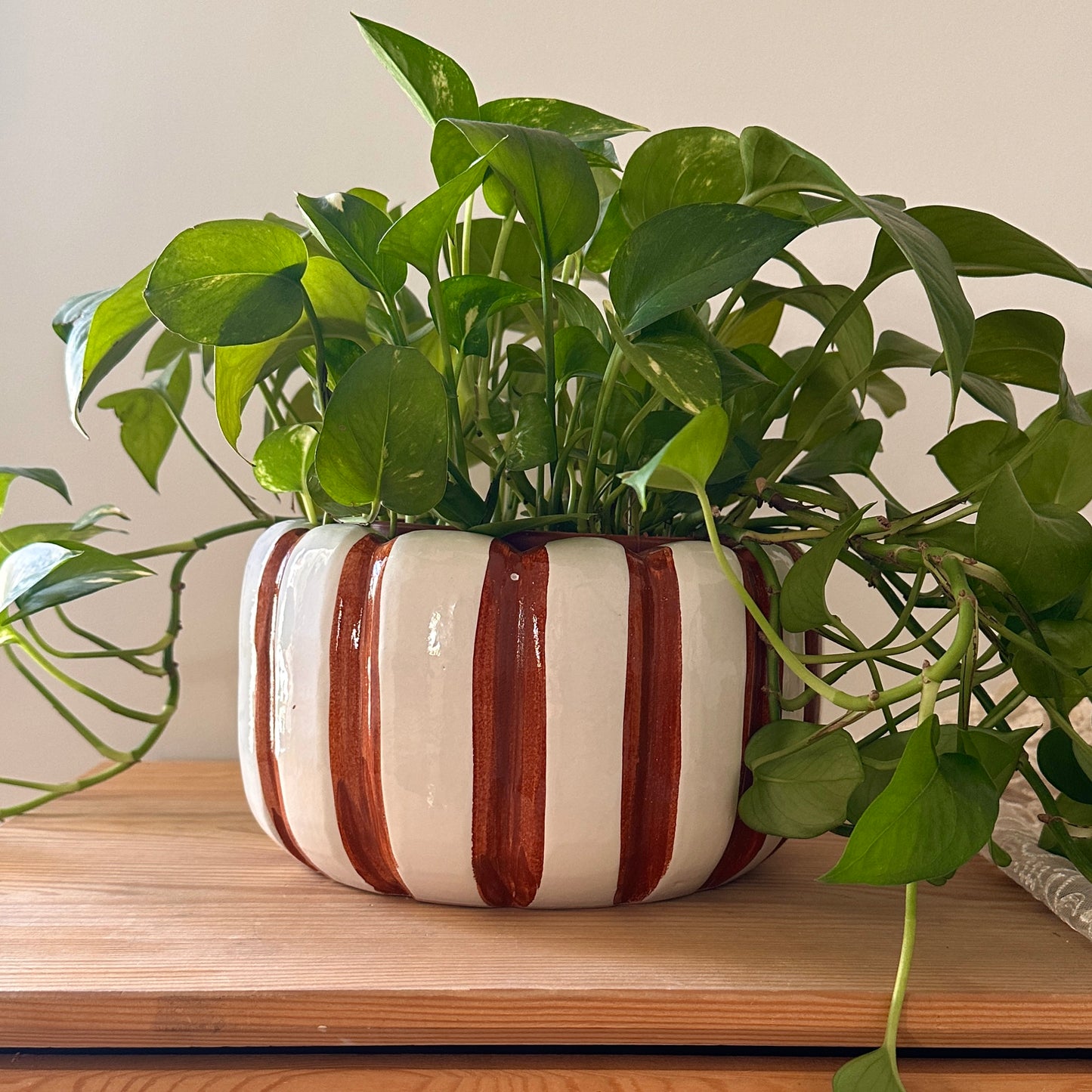 Honeycomb Stripes Ceramic Pot