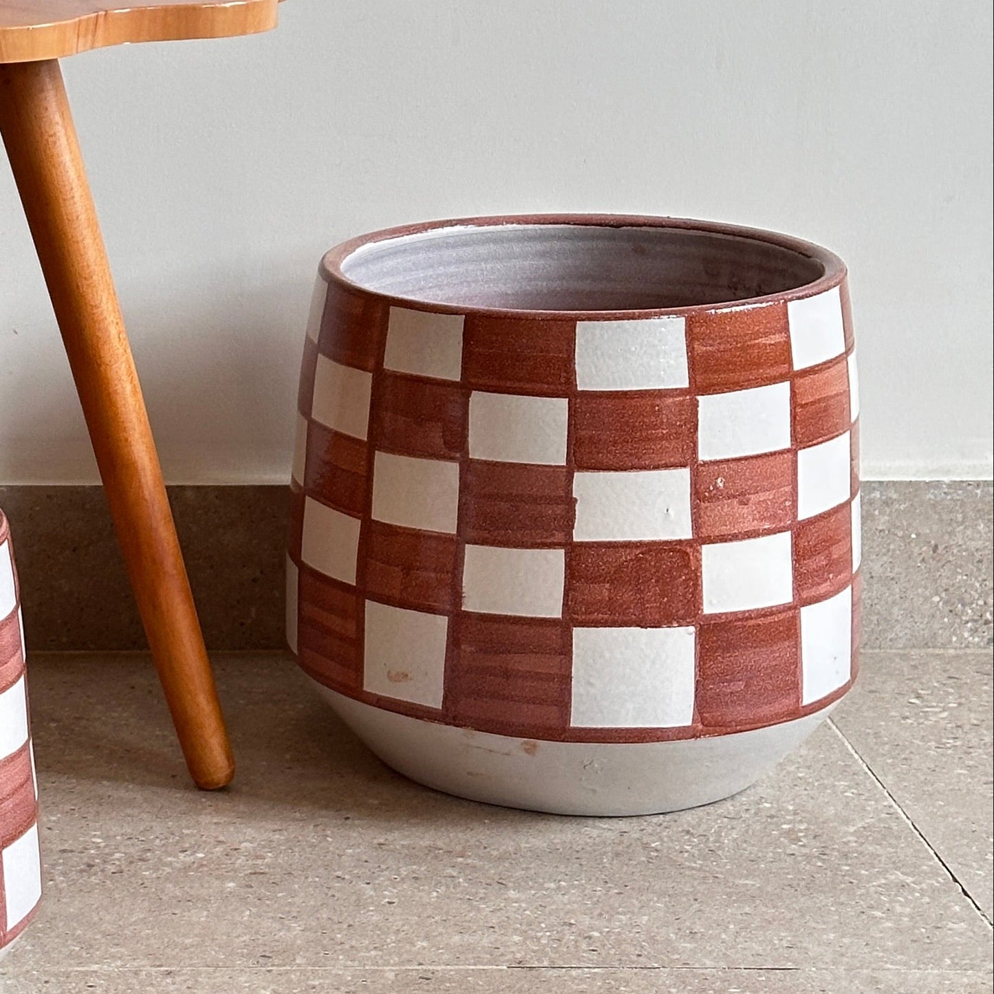 Bamboo Palm -1.6-1.7 M