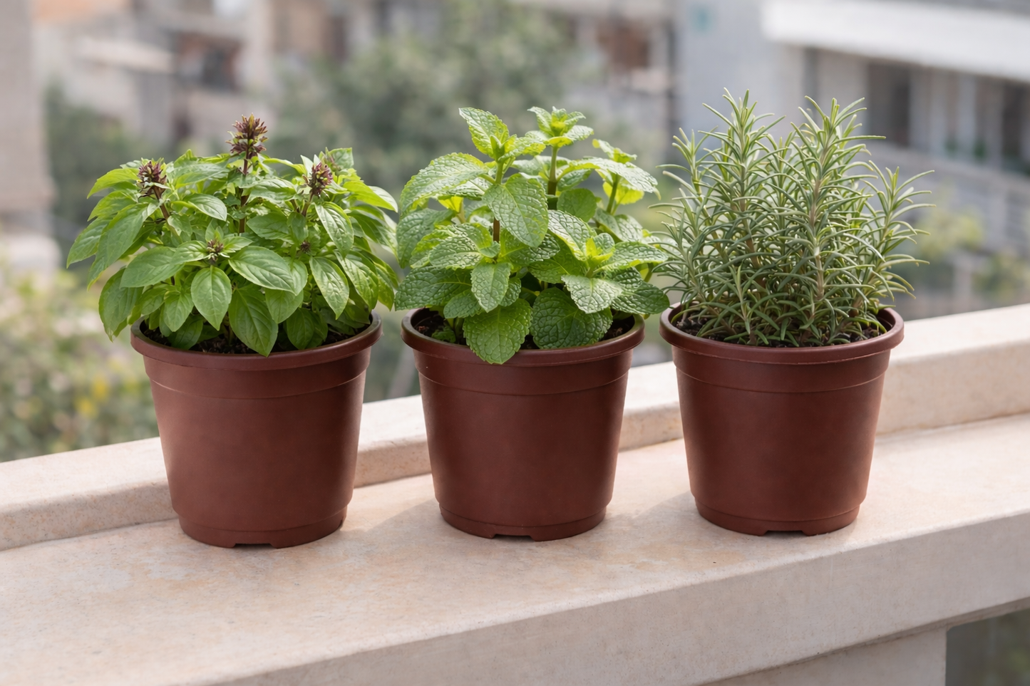 The Ramadan Herb Edit