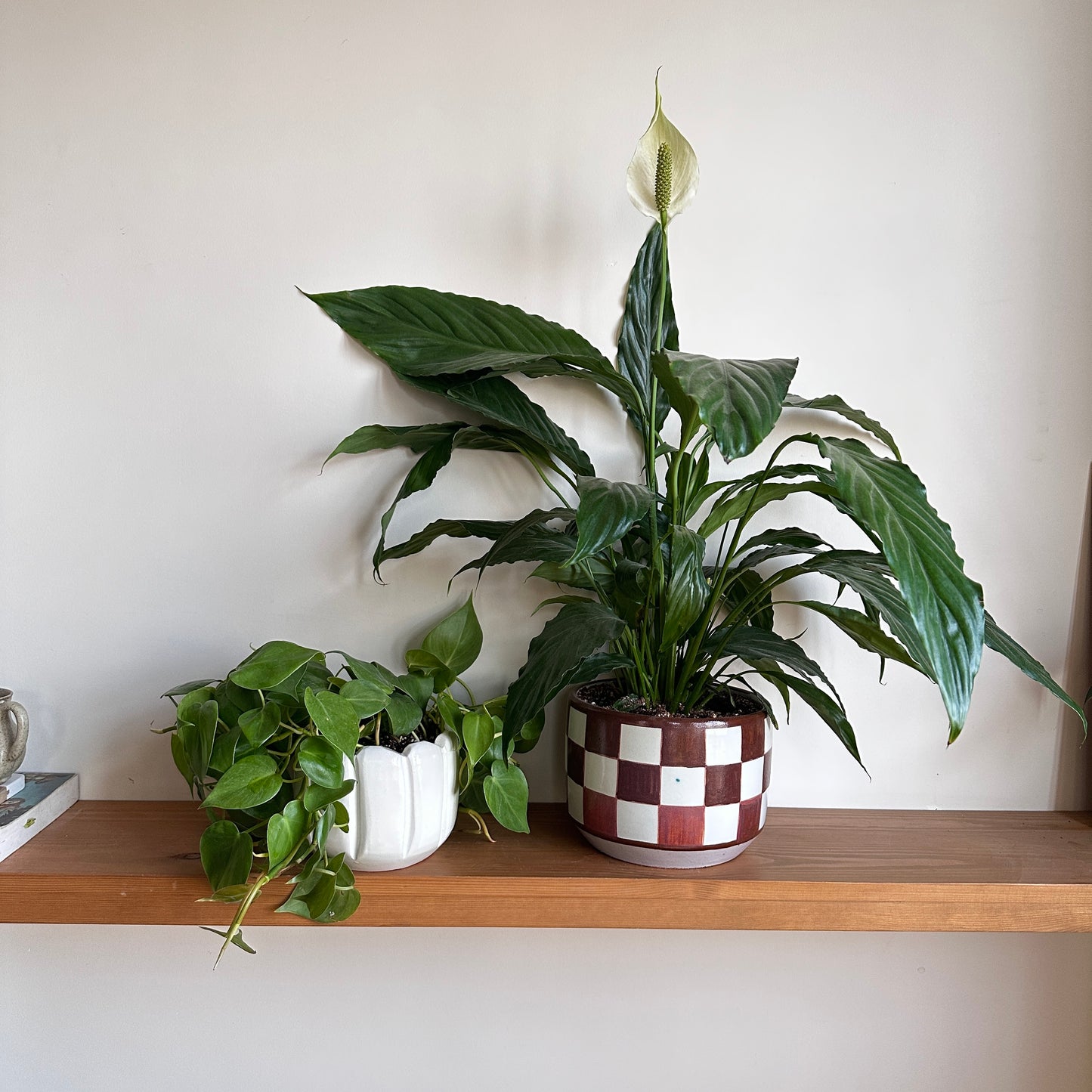 The Peace & Love Bundle