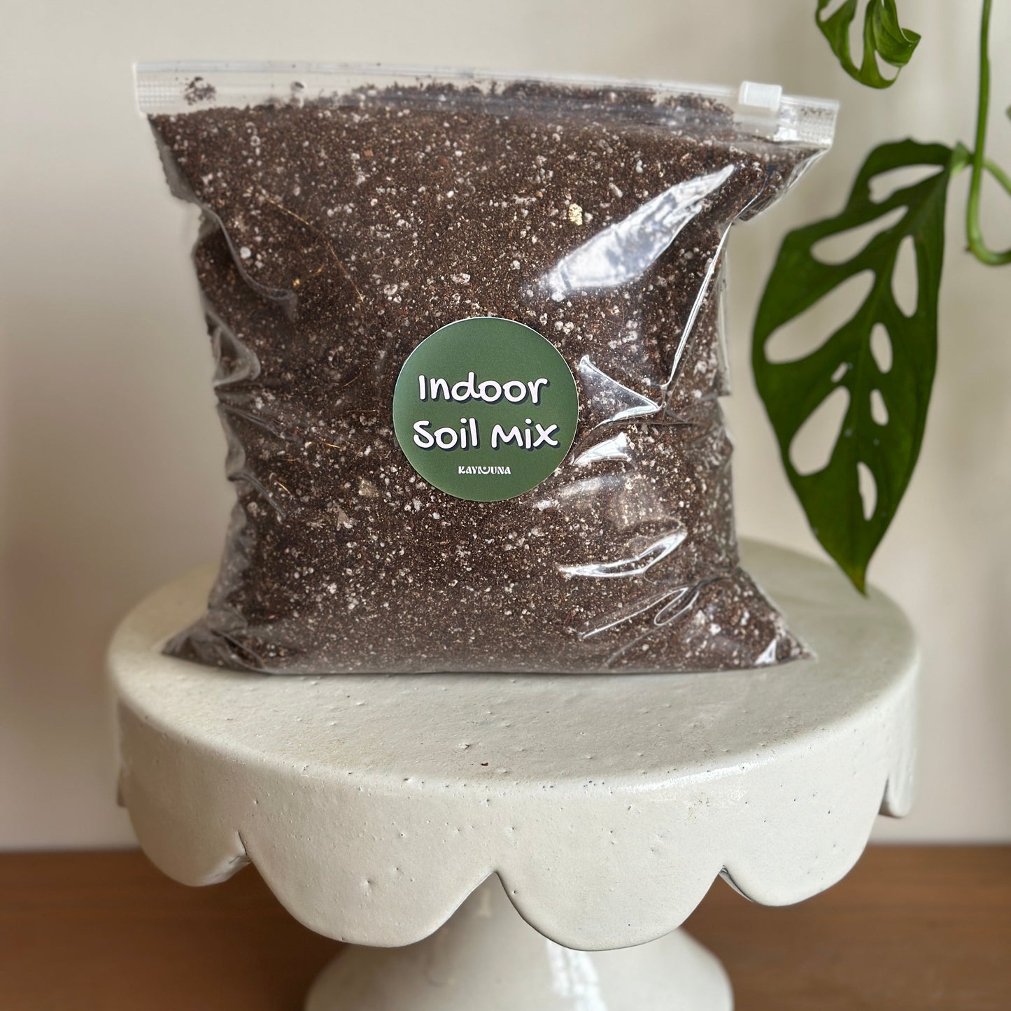 Bag of indoor soil mix on a white pedestal with a plant in the background |kaynuna