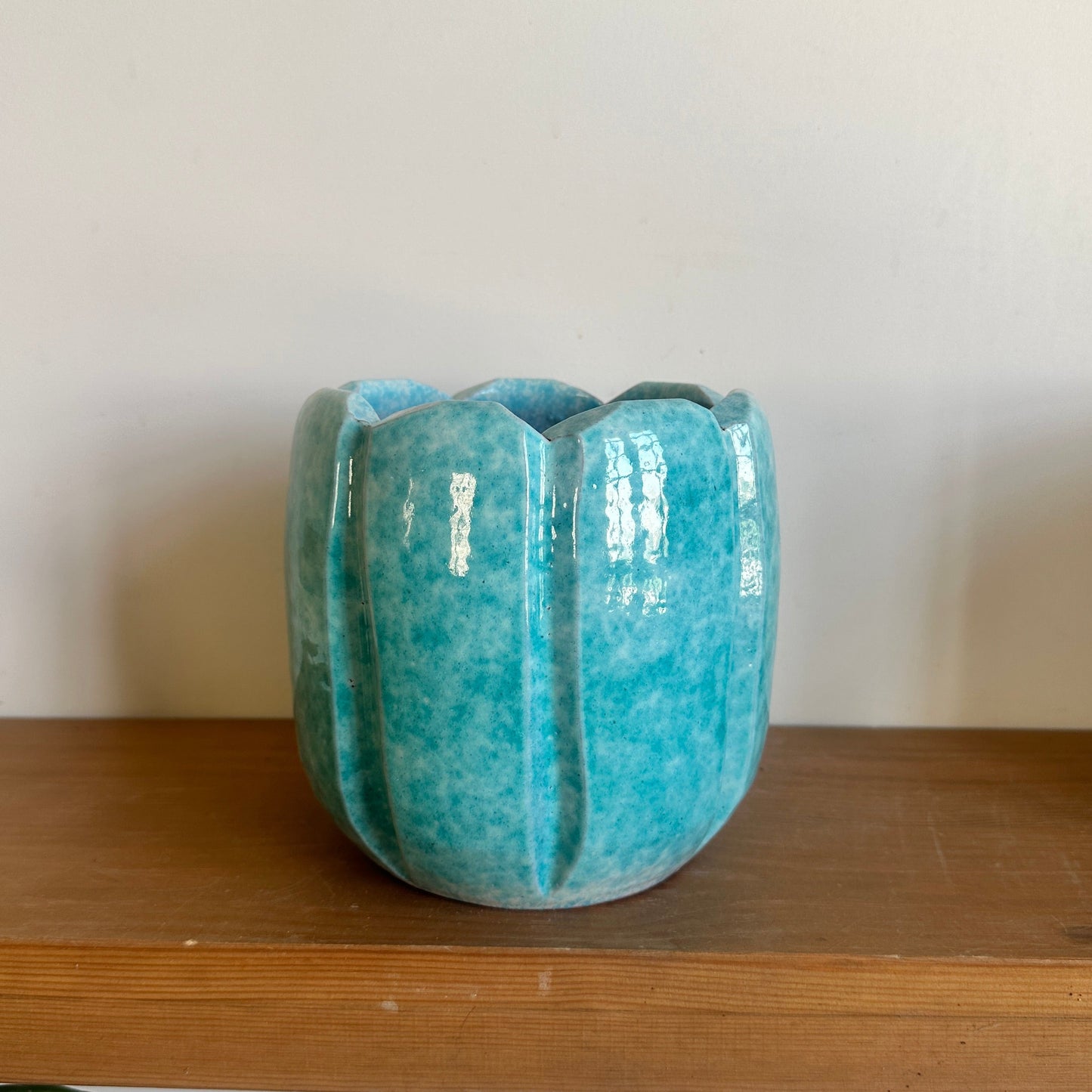Turquoise ceramic planter on a wooden shelf against a white wall
