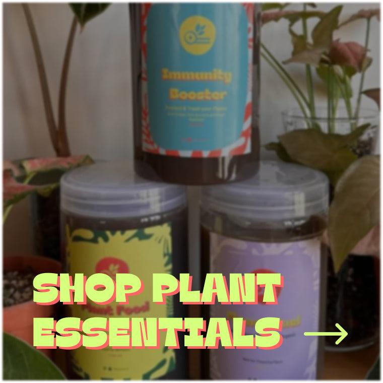 Shop Plant Essentials