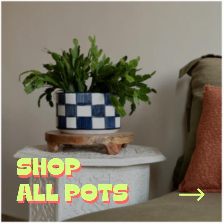 Shop All Pots