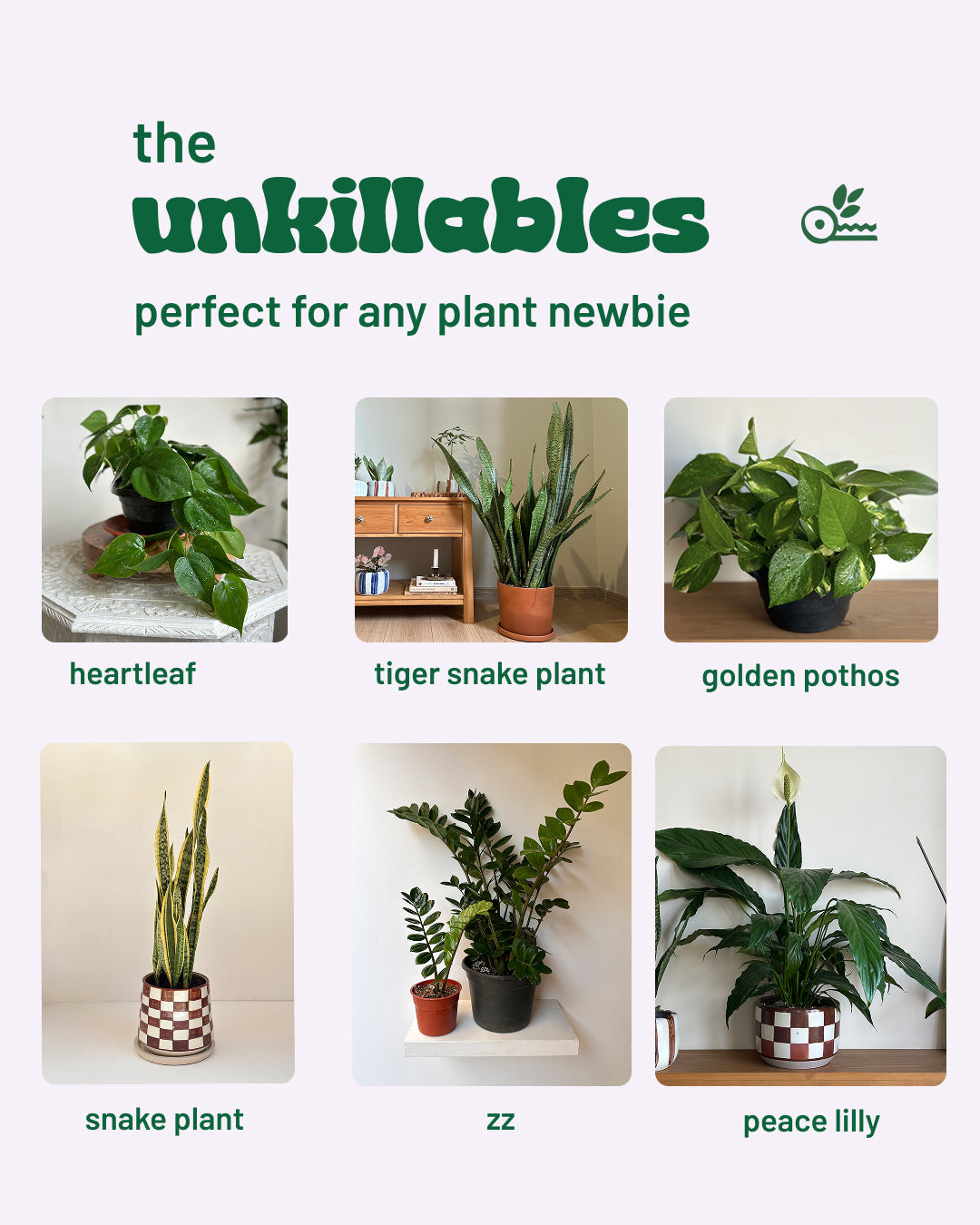 The Unkillables