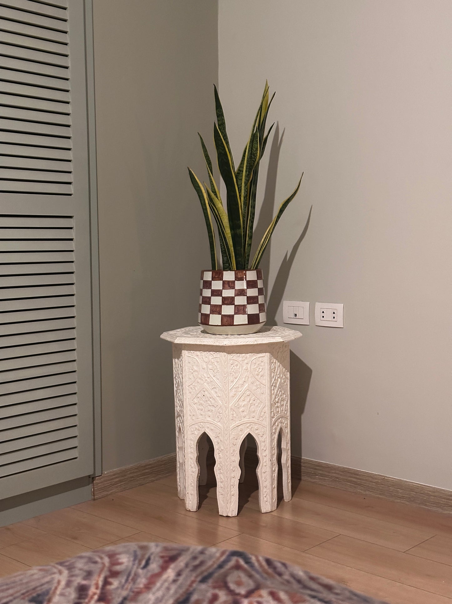 Snake Plant in Ceramic