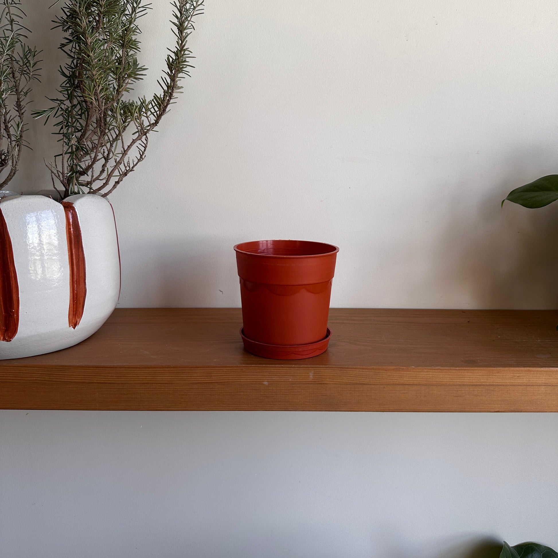 12 cm plastic brown pot