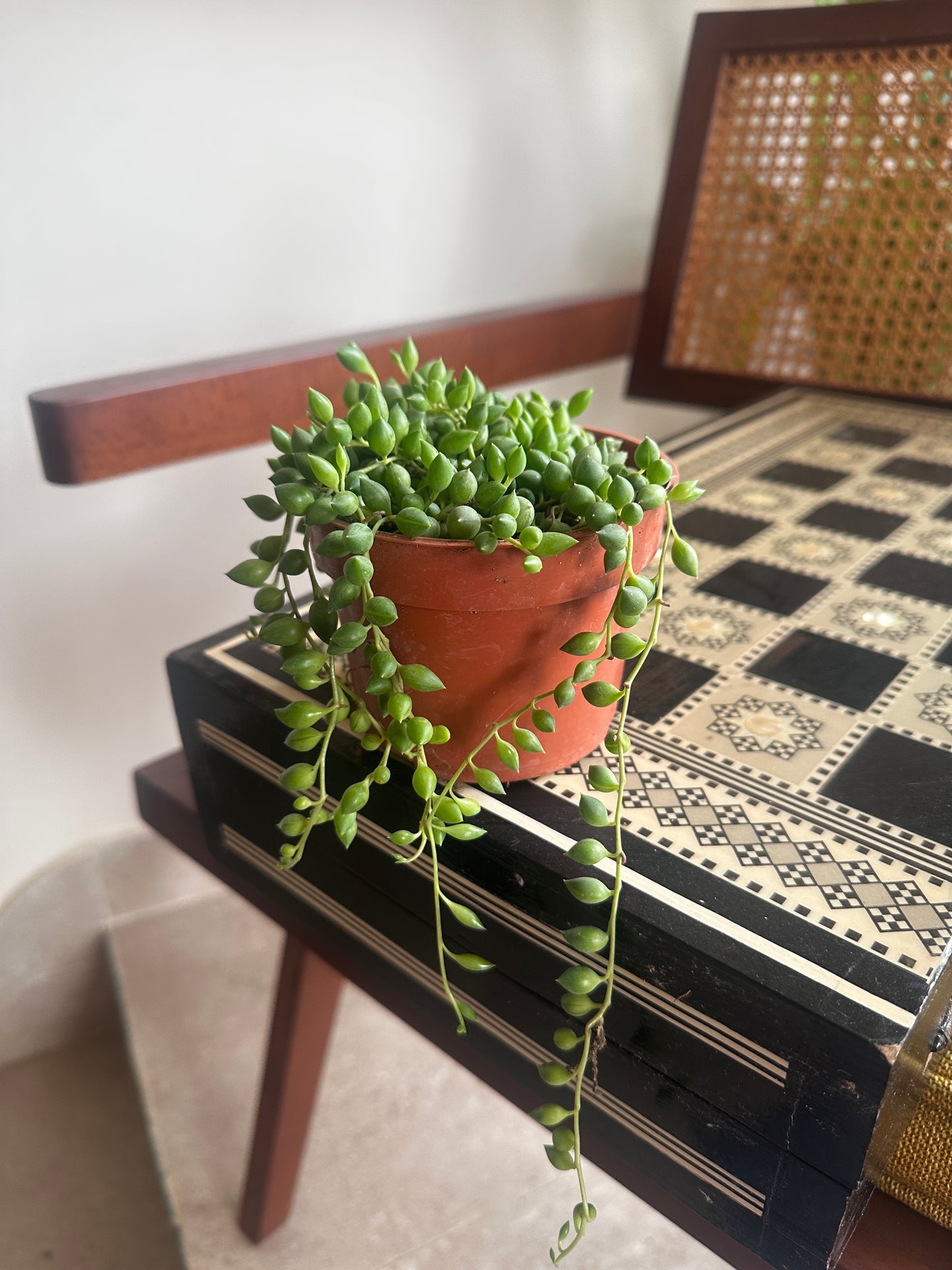 String of Pearls