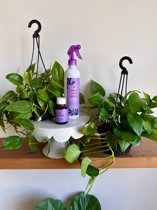 Plant Parent Starter Kit