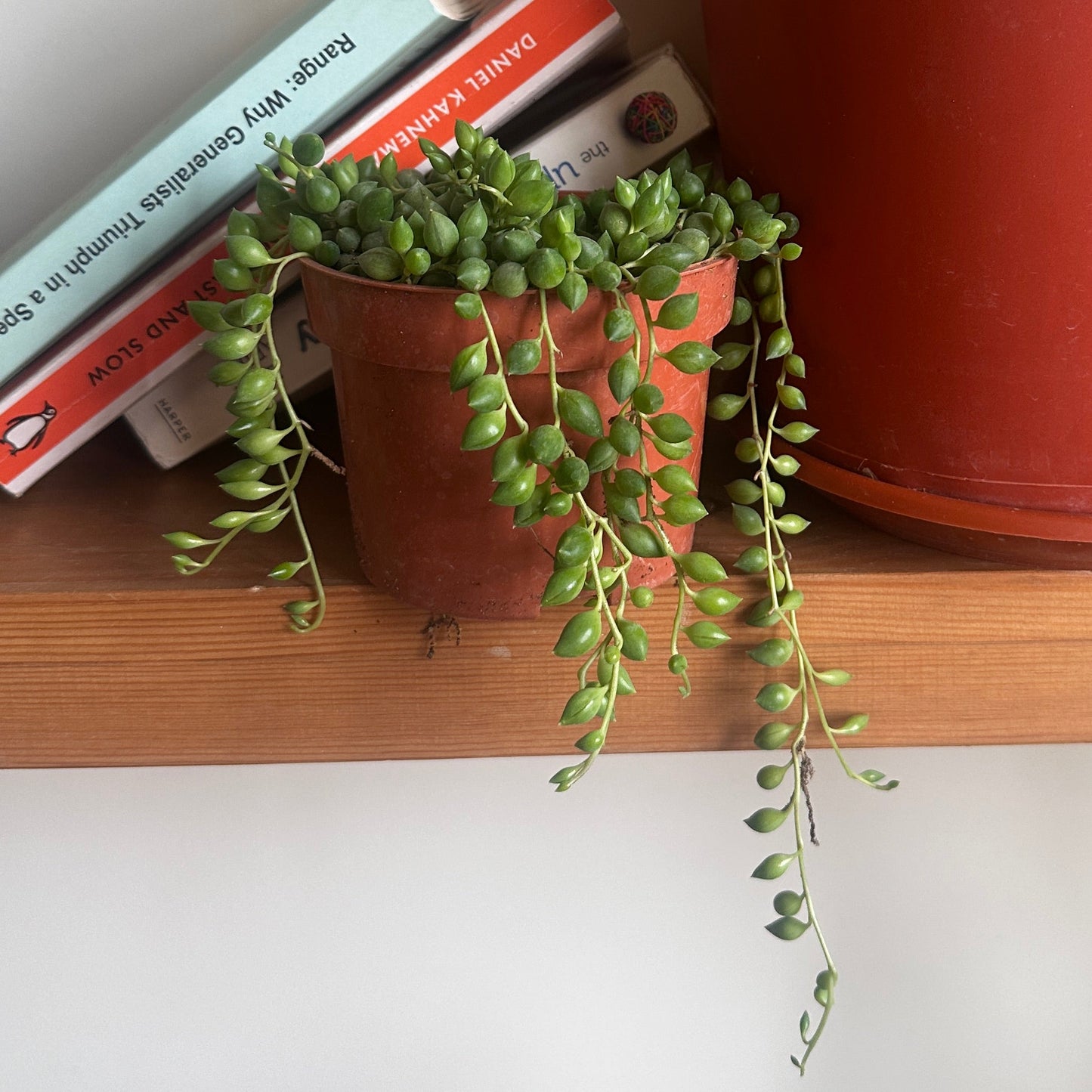 String of Pearls