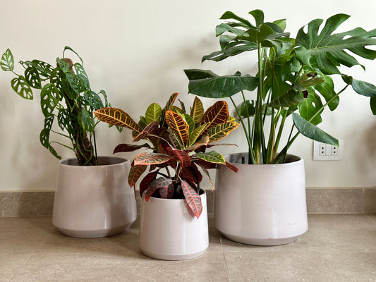 Off-White Ceramic Pots