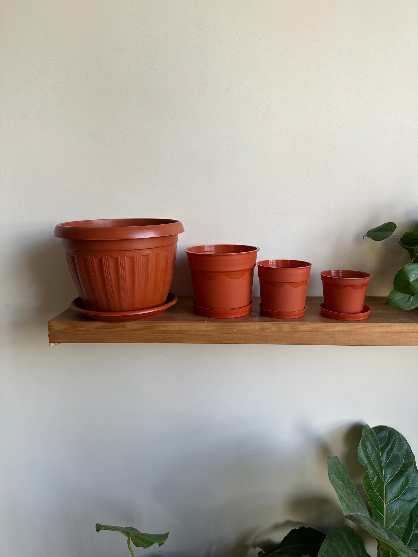 Plastic Pots
