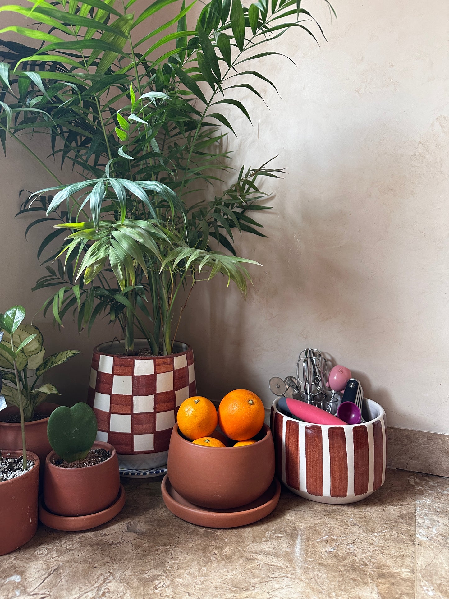 Dwarf Bamboo Palm