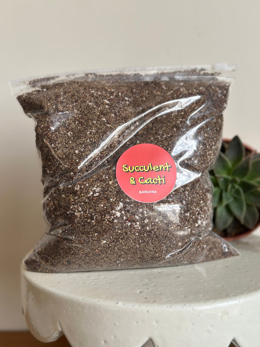 Succulent & Cacti Soil Mix