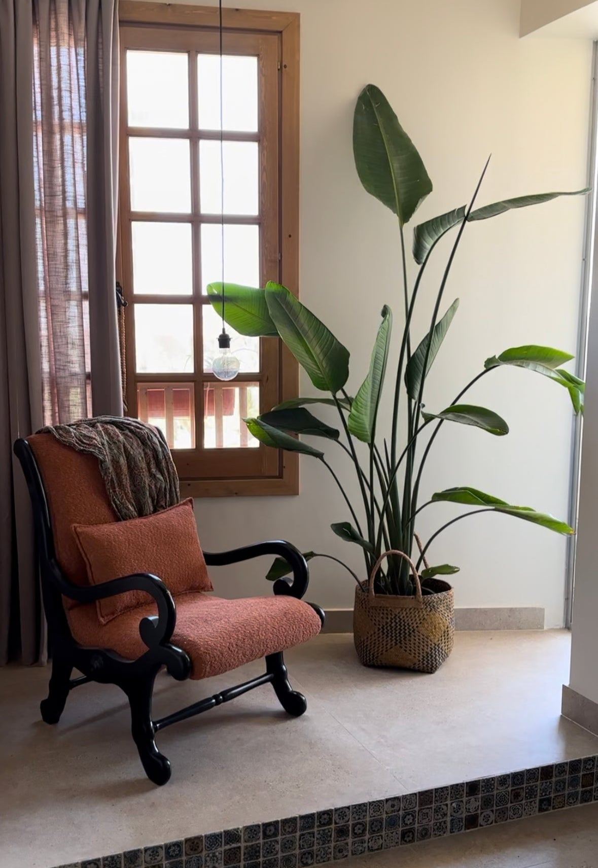 Orange armchair with a plant in a pot next to a window in a room.|kaynuna.co, Egypt.