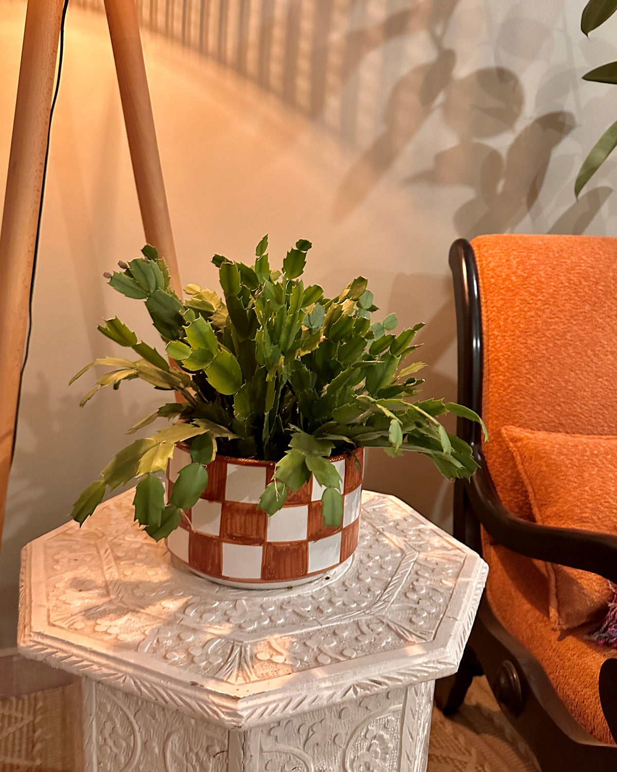 A potted green Christmas cactus plant in a brown and white checkered pot, displayed on a white carved hexagonal pedestal next to an orange armchair.