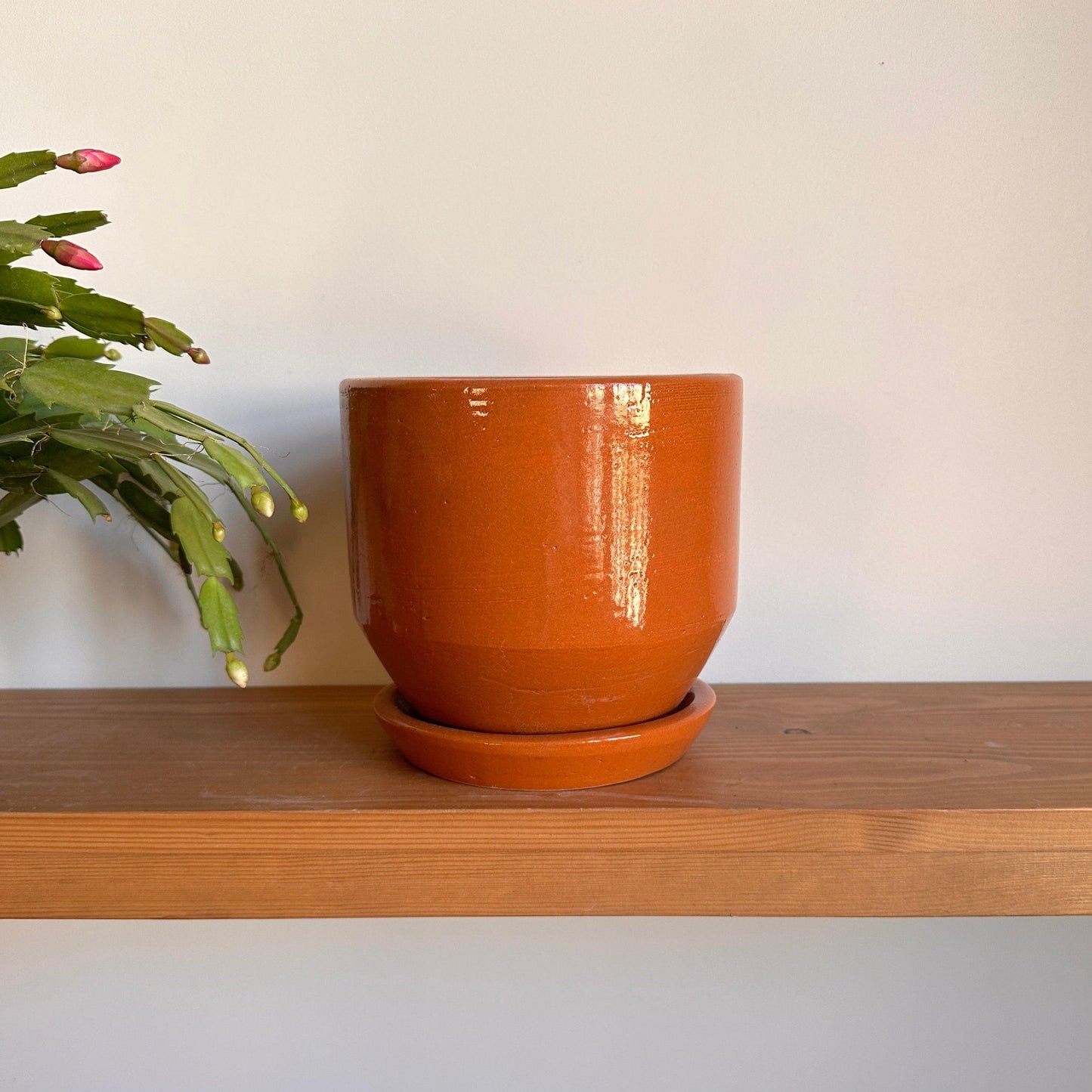 Honeycomb Ceramic Planter | Kaynuna, Cairo.