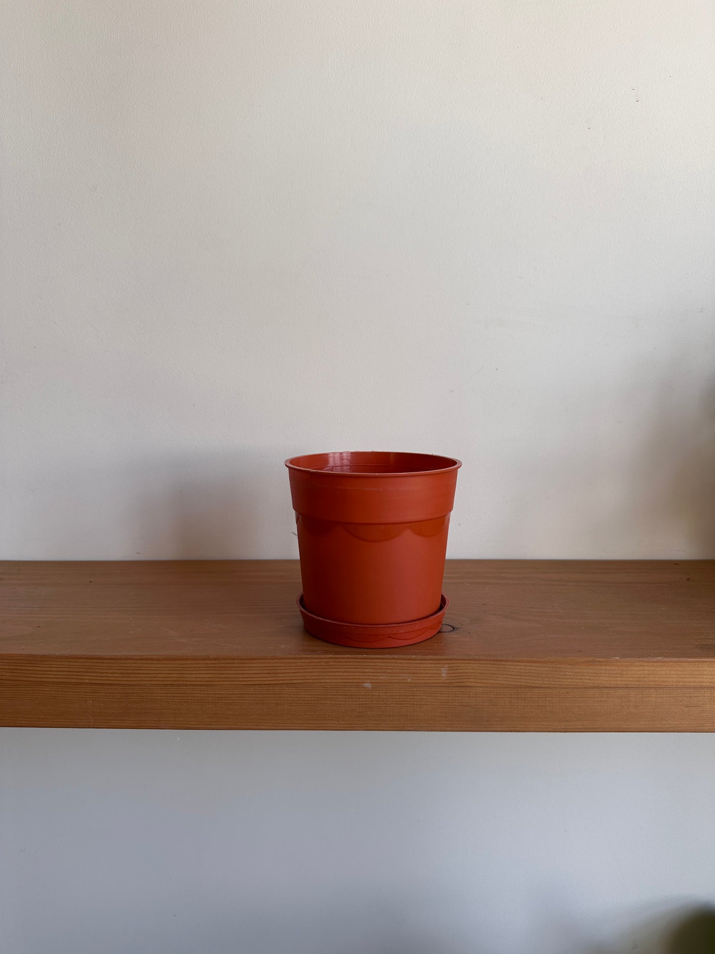 Plastic Pots