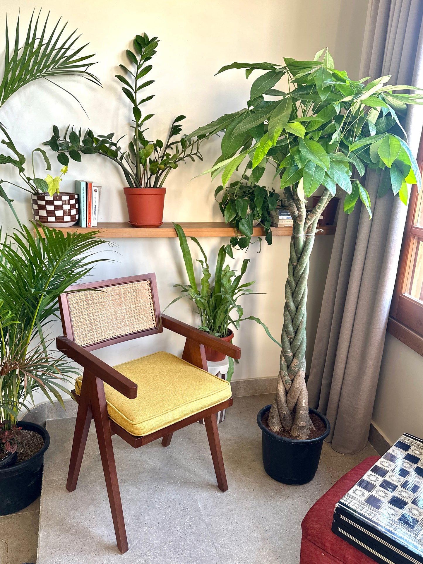 Money Tree