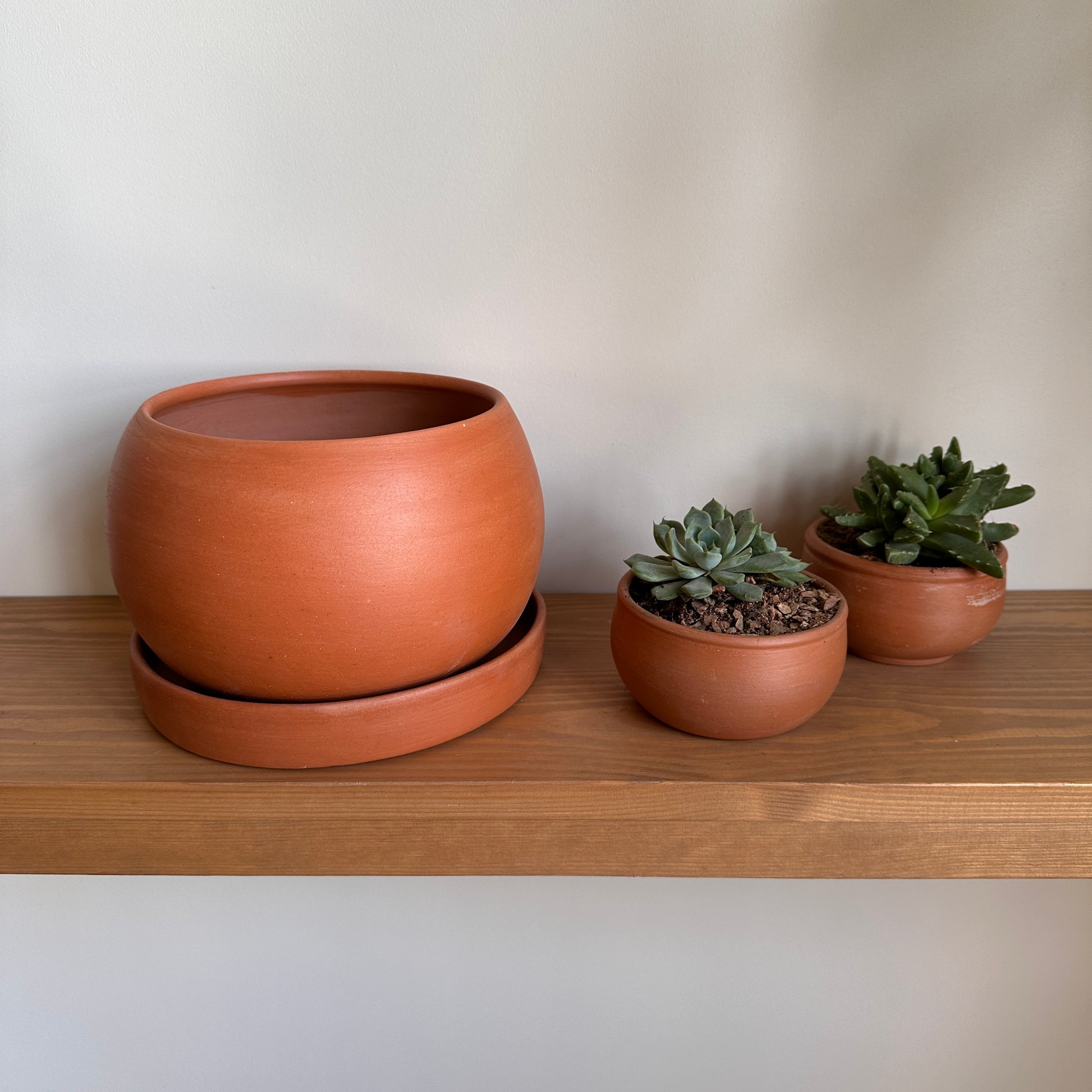 terracotta clay pot