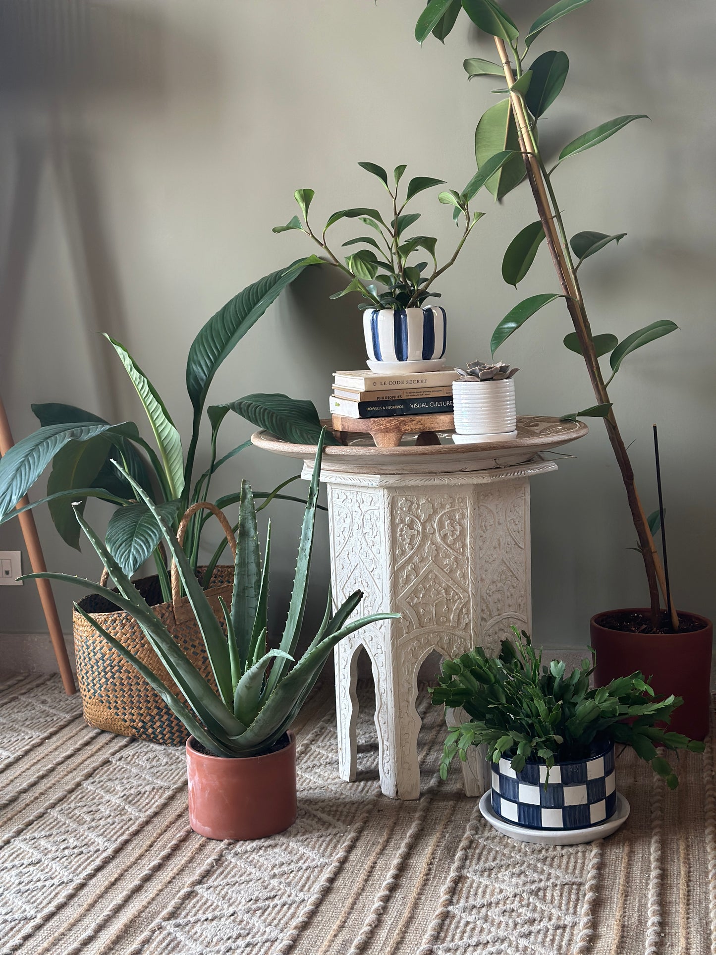 Build Your Collection