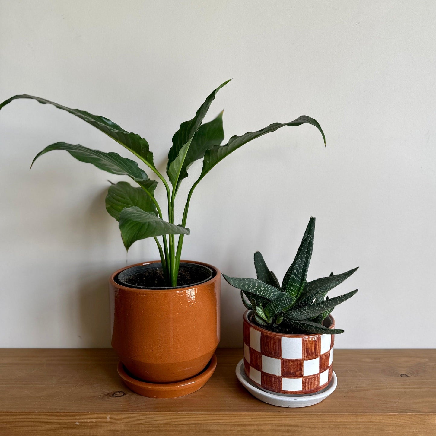 Textured Honeycomb Ceramic Pot 16cm