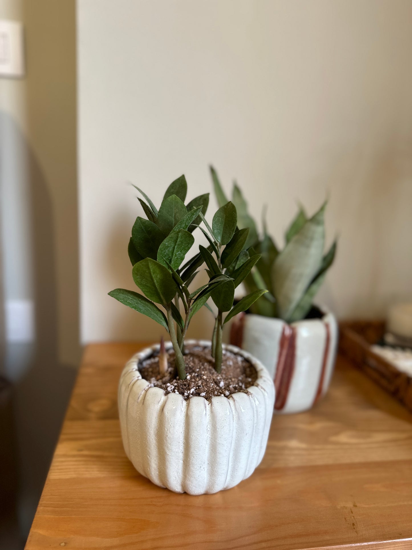 Striped Ceramic Pots D: 14cm