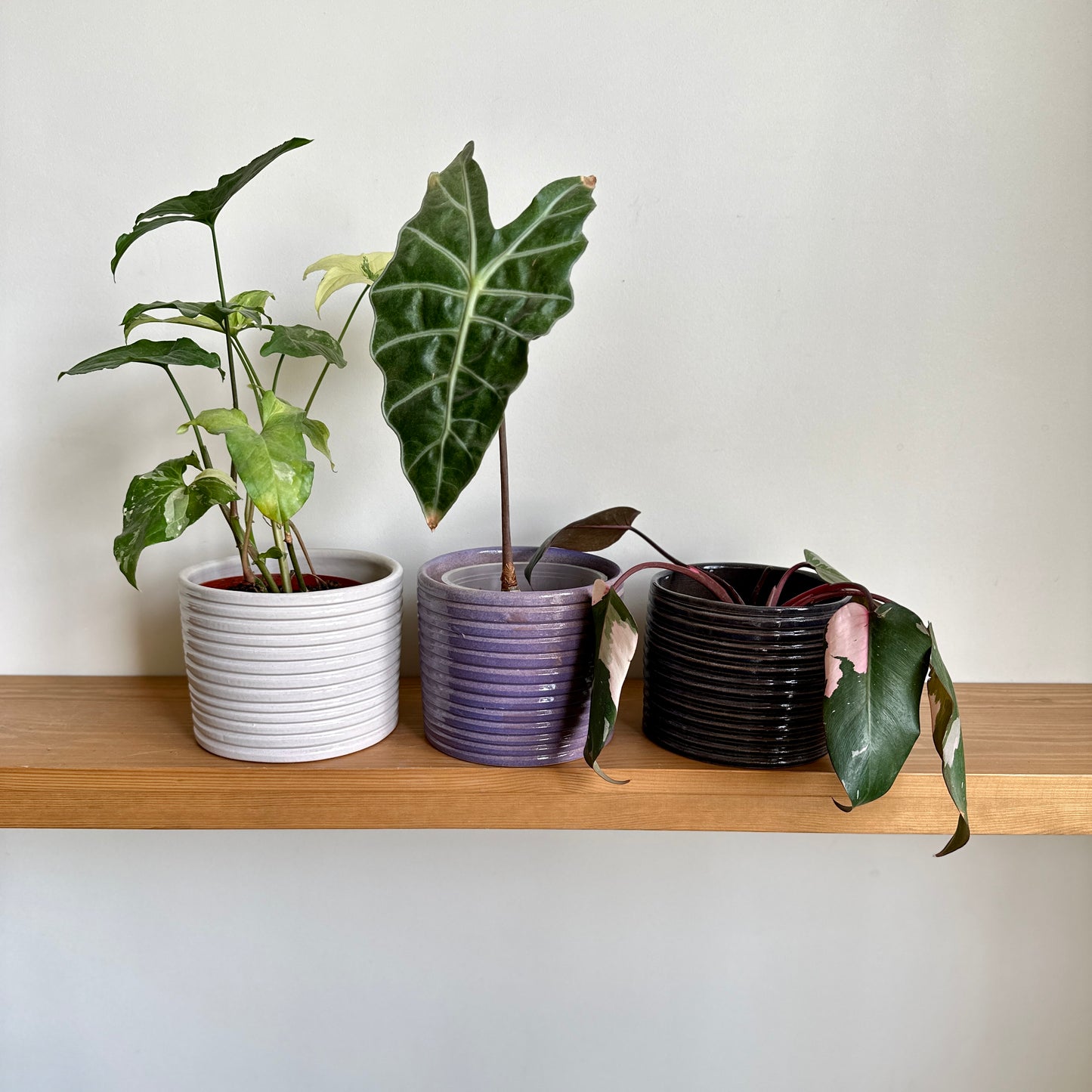 Horizon Ceramic Planters - 14cm