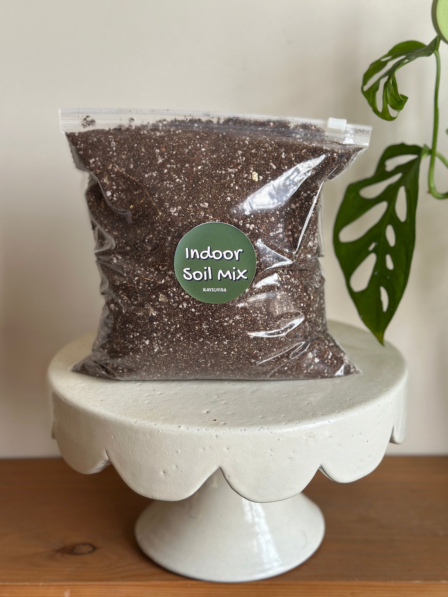 Bag of indoor soil mix on a white pedestal with a plant in the background |kaynuna