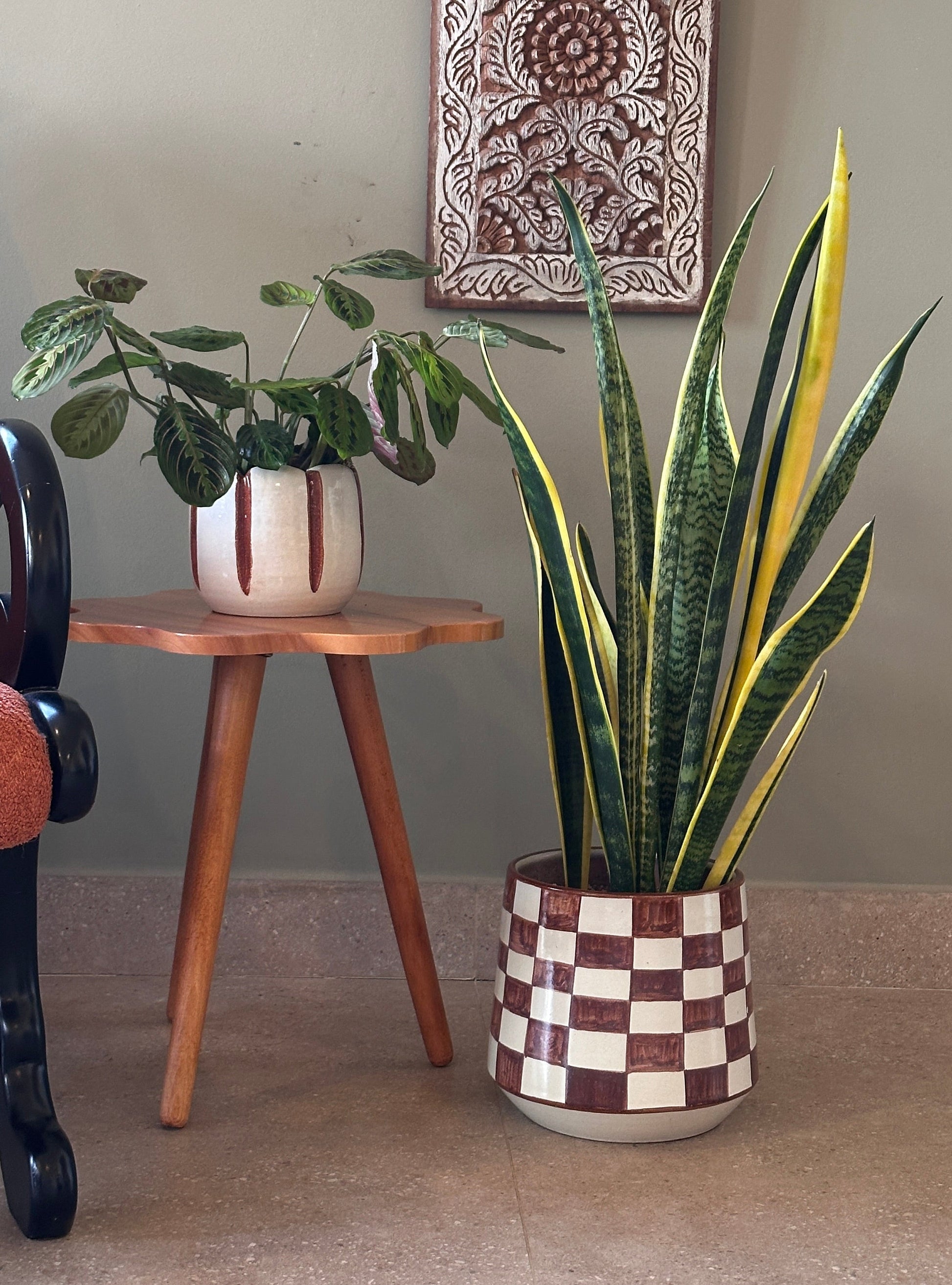 maranta and snake plant potted in ceramic planters on a floor with a decorative wall piece in the background. | kaynuna setup