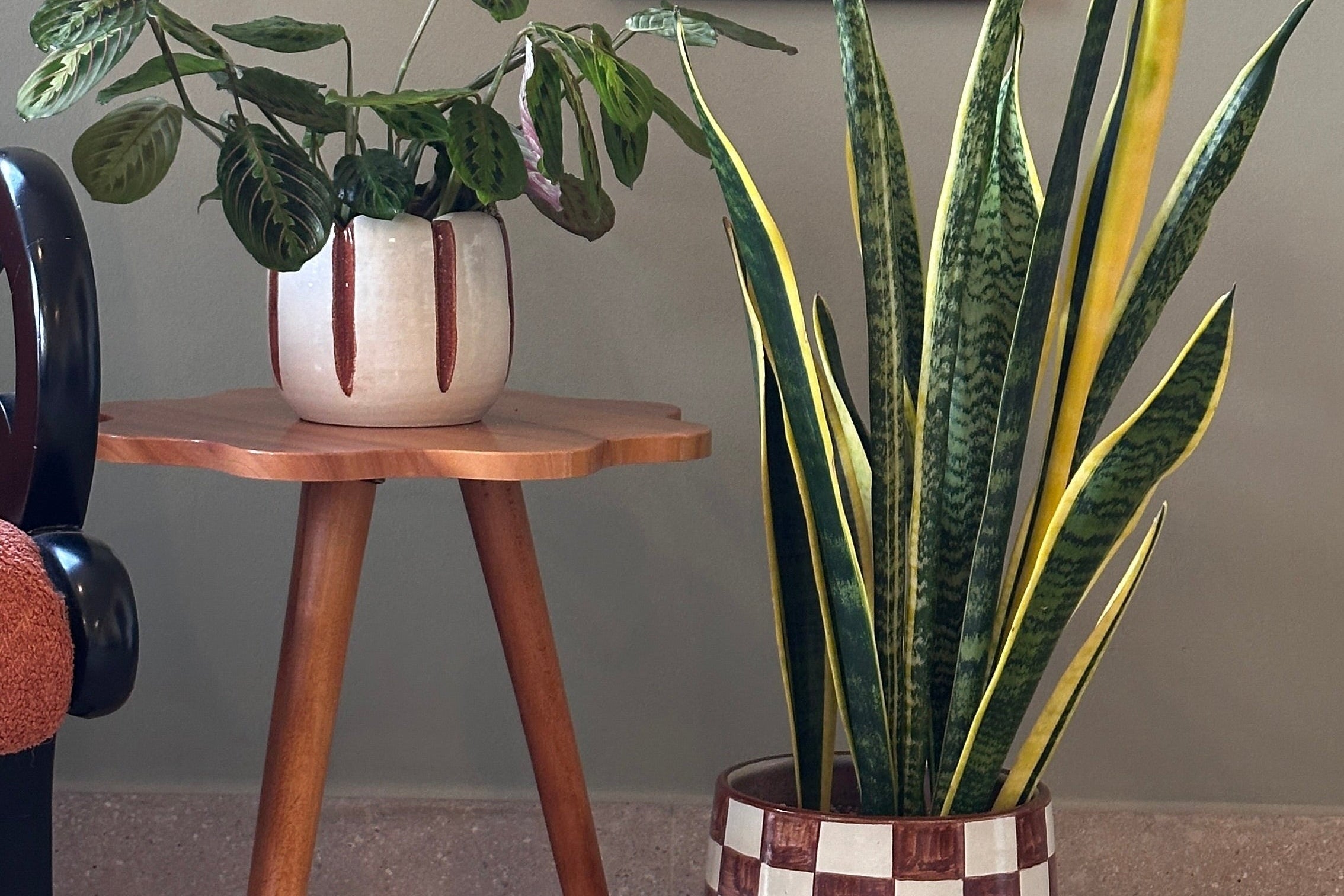 maranta and snake plant potted in ceramic planters on a floor with a decorative wall piece in the background. | kaynuna setup